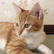 中井さんのプロフィール